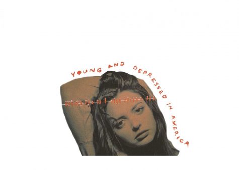 Prozac Nation: A Memoir to Mental Health