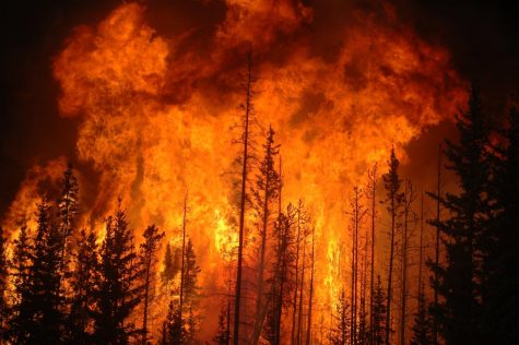 Fires have ravaged California this past month, destroying millions of acres and thousands of homes.