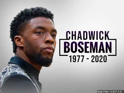 Tribute to Chadwick Boseman