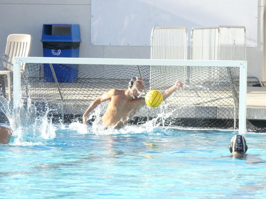 Mens Water Polo: Making Their Mark