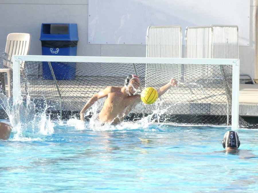 Mens+Water+Polo%3A+Making+Their+Mark