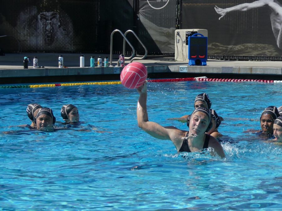 Making a Splash with Women's Water Polo