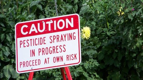 Pesticides: The Unaddressed Epidemic