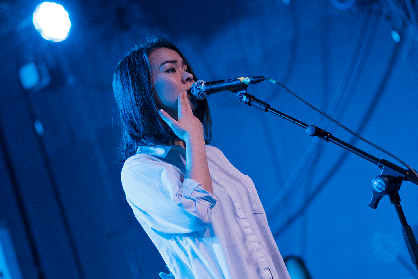 The Monarch | Working for the Knife: Mitski’s Laurel Hell and the ...