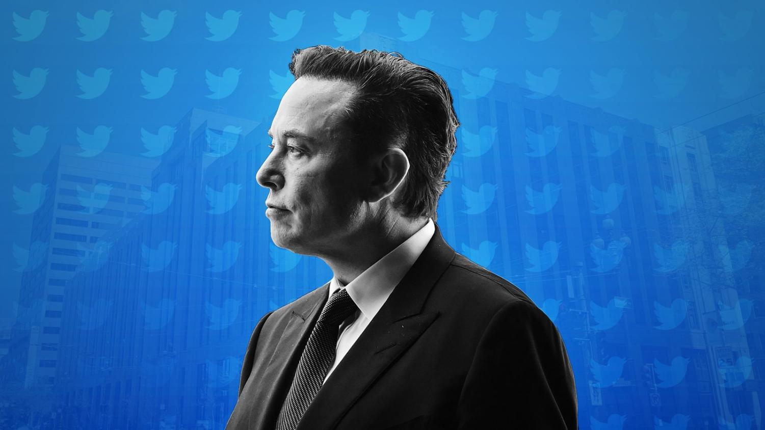 The Monarch Elon Musk The New King Of Twitter