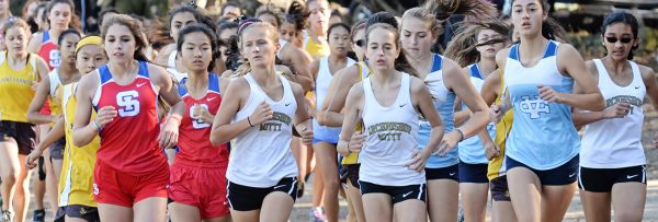 Cross Country: Perseverance and Discipline