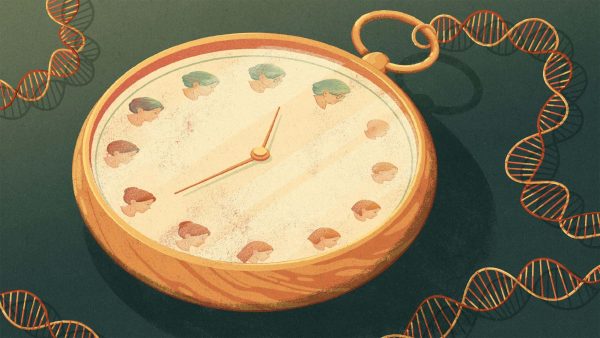 Timekeepers of Life: Decoding the Future with Biological Aging Clocks