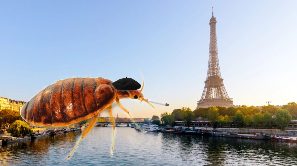 Whats in Vogue at Paris Fashion Week? Bed Bugs