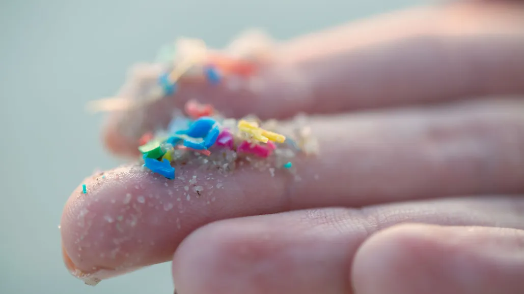 Small but Deadly: The Danger and Injustice of Microplastics