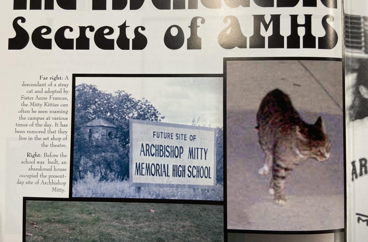 Although pictures of the cats remain elusive, this picture of the first Mitty Kitty was caught in 2005.