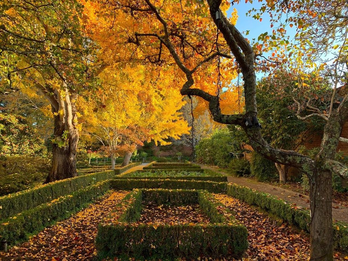 Cozy Up: The Perfect Fall Guide
