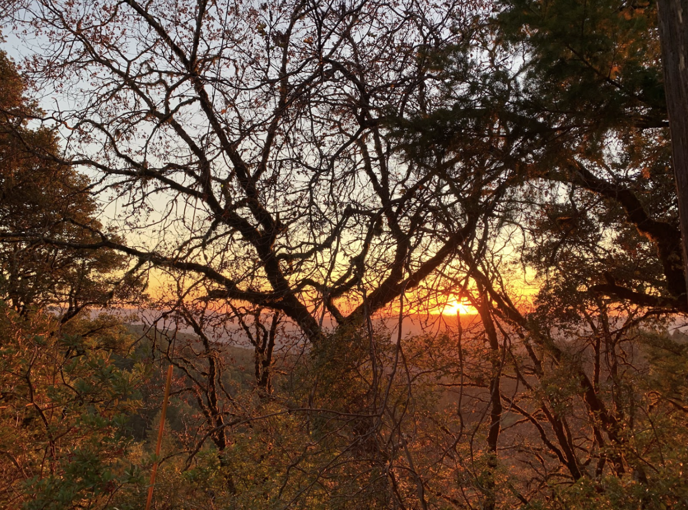 This is the sunset carving through some tree branches. In order to achieve this look, I increased the saturation and the contrast to make the light stand out more through the black branches, which makes you appreciate how fleeting the light is.