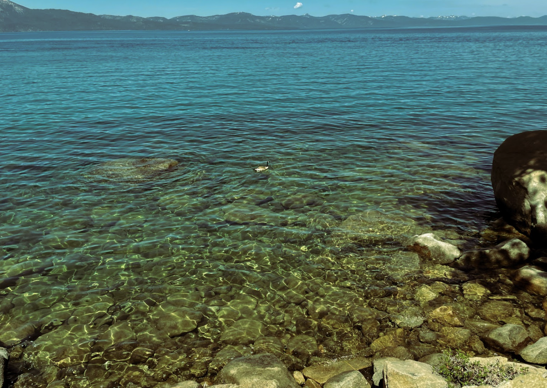 Taken at one of Lake Tahoe’s rocky lakeside beaches during the summer. The bright sun shining on the rocks forms a greenish tint as it combines with the clear blue water of the lake.
