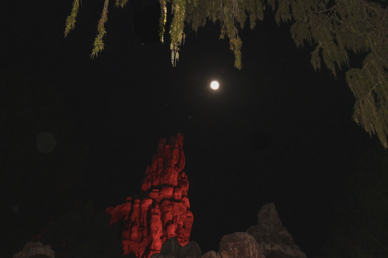 The keen juxtaposition between the black background, green leaves, bright moon and steep rock create a haunting image of the beloved Disney Land Park..