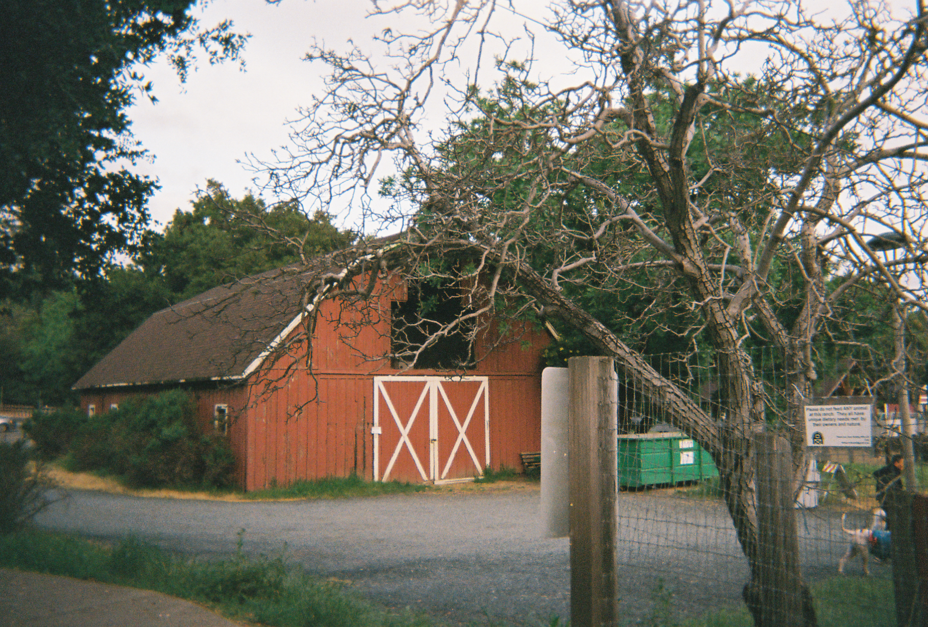 A solemn red barn born right out of a fairy tale creaks from age.