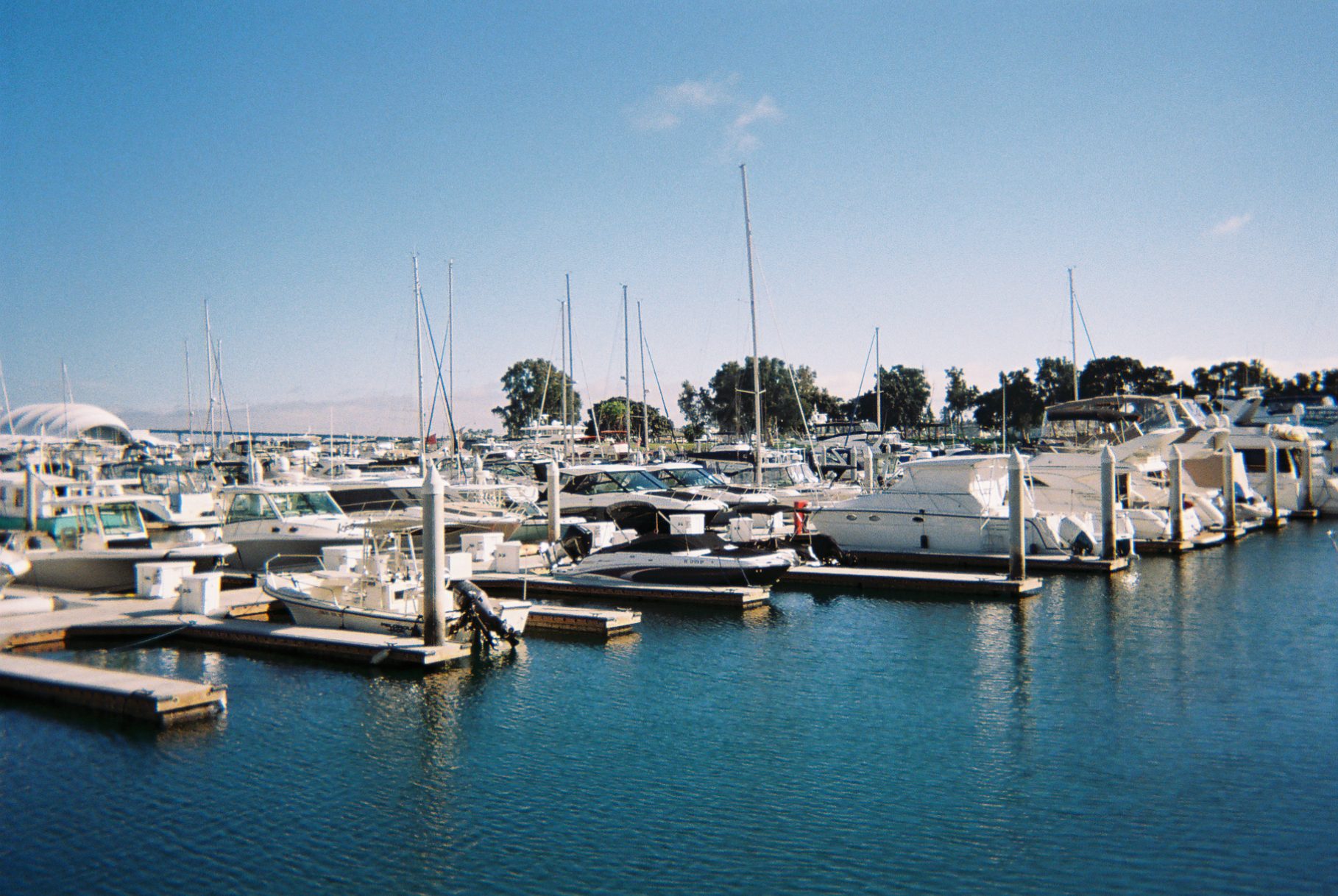A quiet marina filled with boats rests under a clear blue sky.