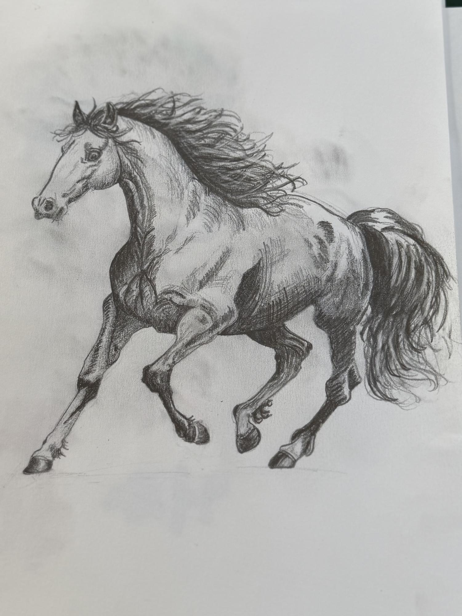 Majestic Horse