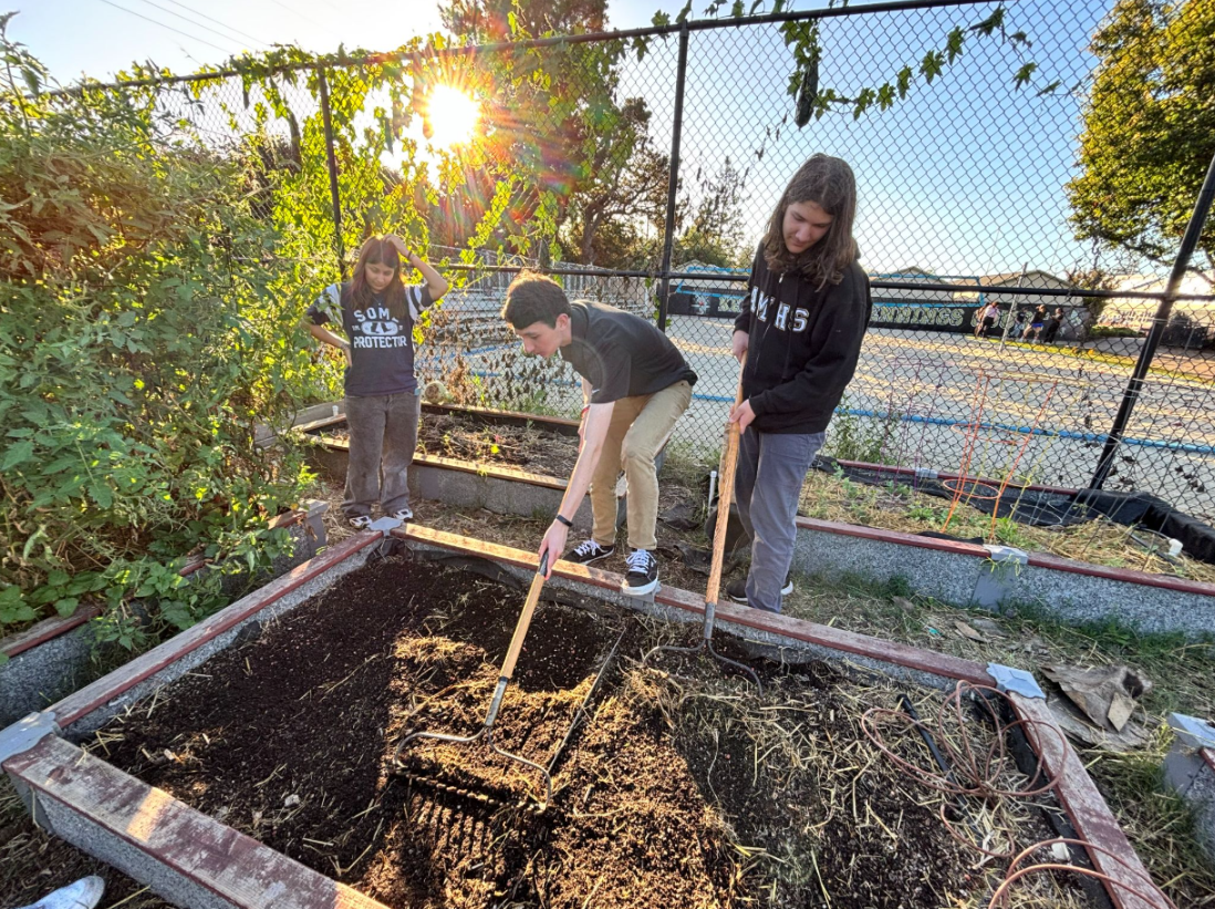 Students in the Garden Culture Club preparing soil for the next planting season (Kathie Li '26)