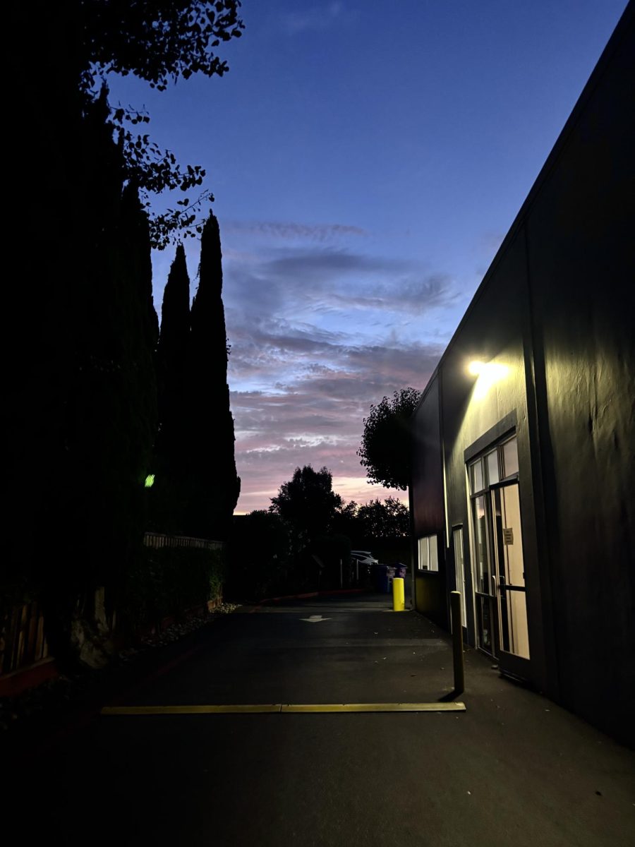 Get a snapshot into Vivienne Lee '27's photography journey.